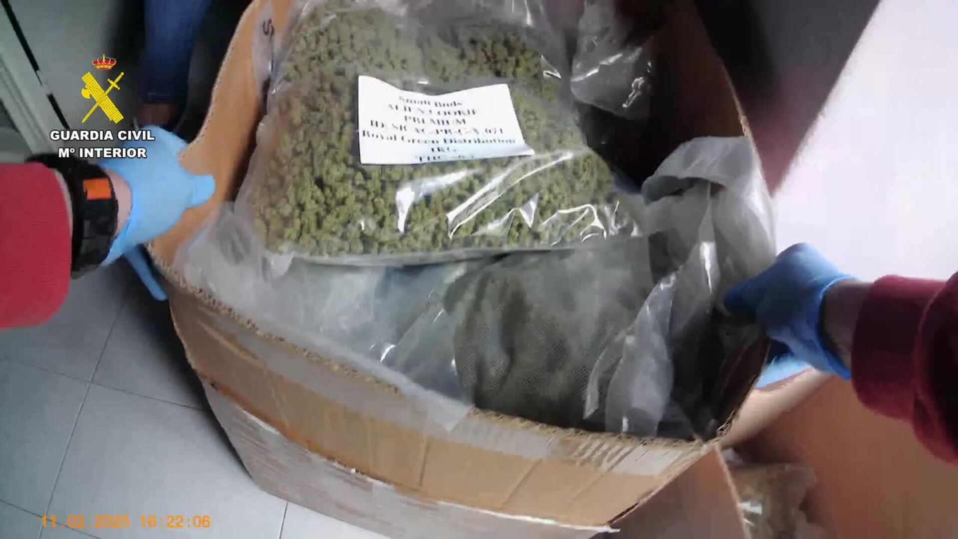 Grow shops de Valencia vendían estupefacientes y sustancias psicotrópicas a toda España