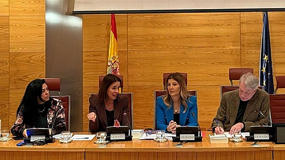 Mamás en Acción avisa: «Hay 1.200 menores de seis años en centros de forma ilegal»