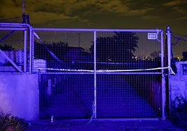 Lugar donde se ha hallado un hombre calcinado en Torrent.