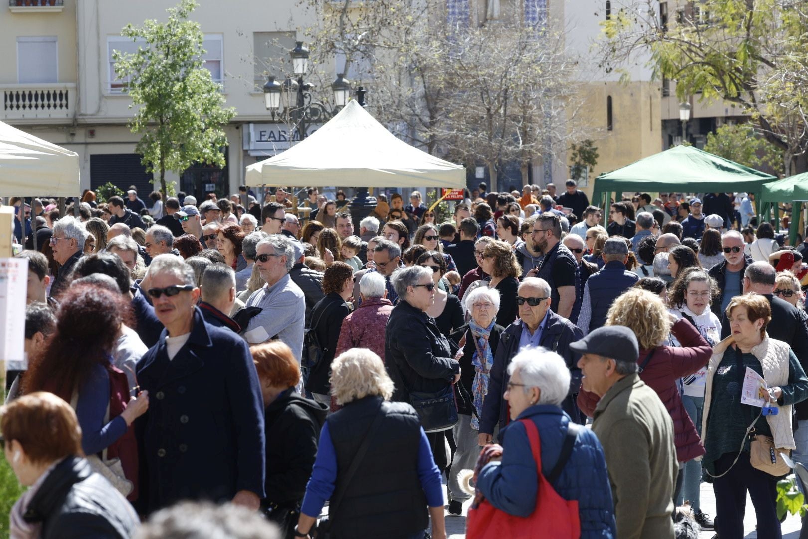 Fotos de la torreznada en Patraix