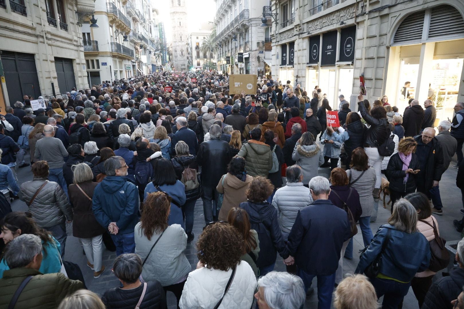 FOTOS | Sexta manifestación en Valencia contra la gestión política de la dana