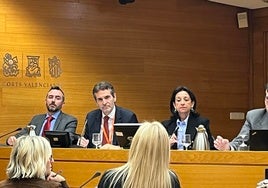 Ordaz, durante su intervención en Les Corts.