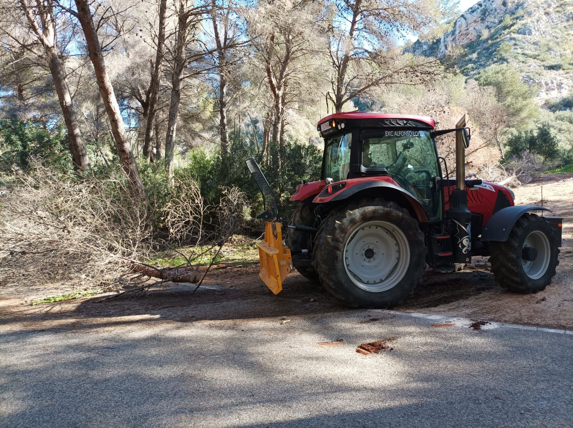 La actuación que se lleva a cabo junto a la carretera de la Granadella.