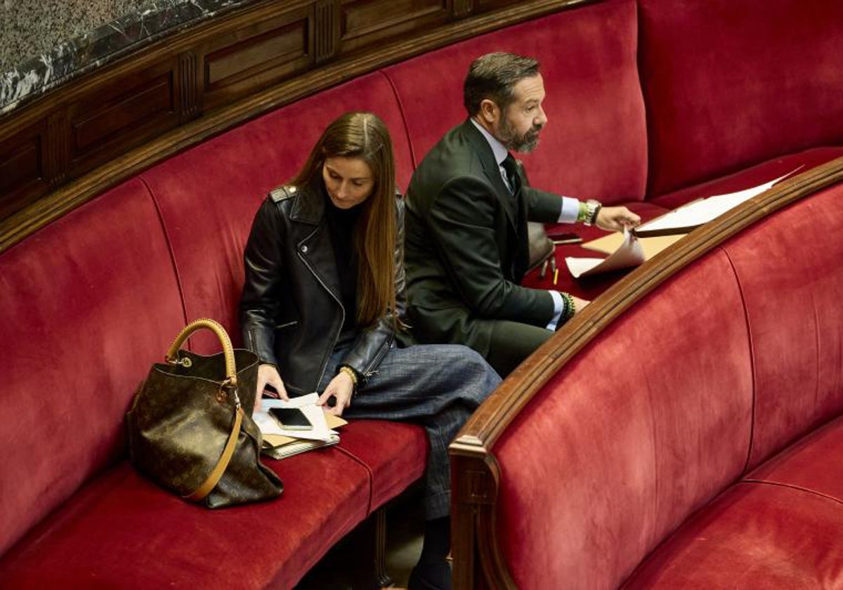 Herrero y Badenas, en el último pleno del Ayuntamiento.