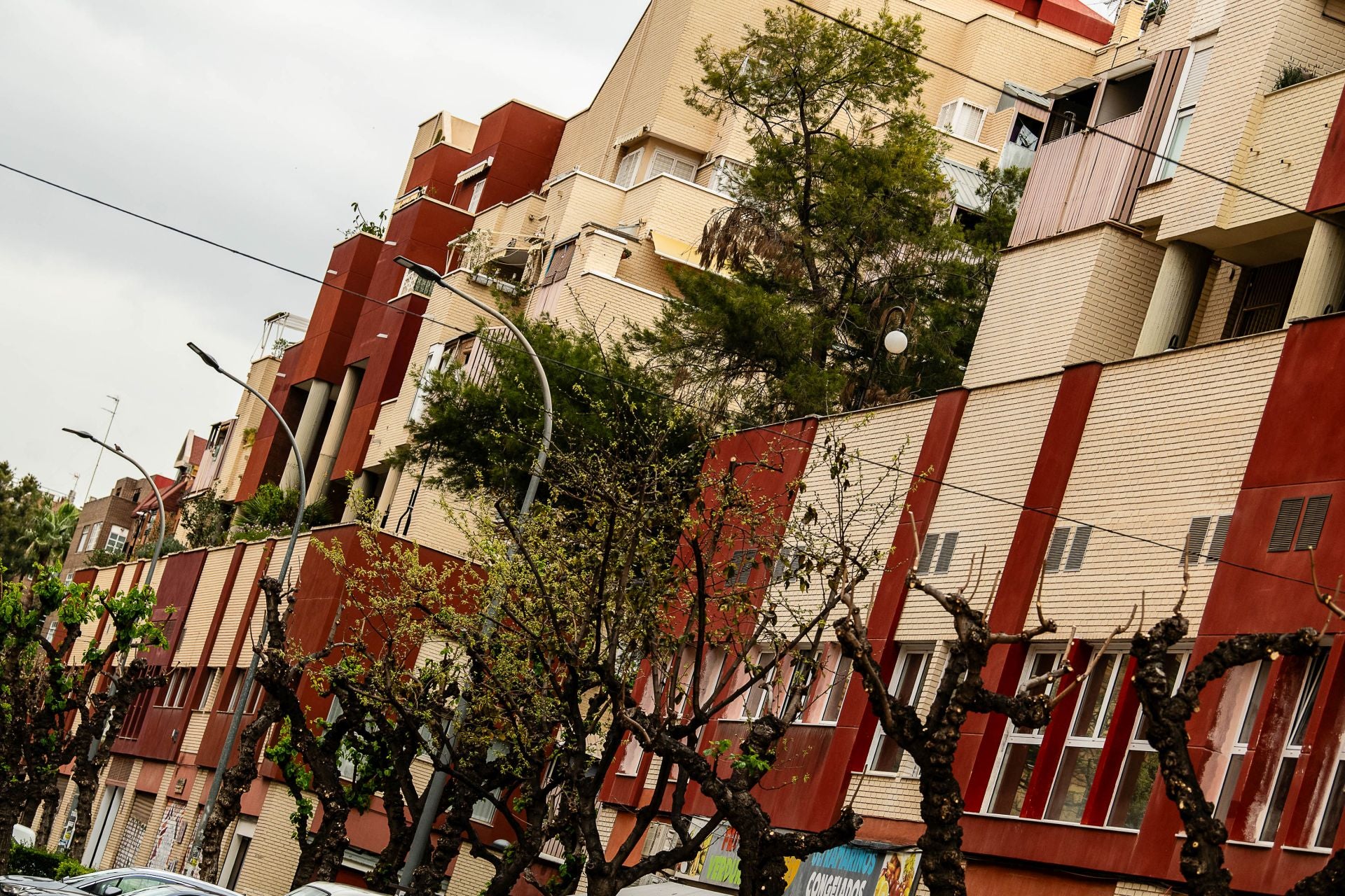 Así es la Cooperativa Benlliure por dentro