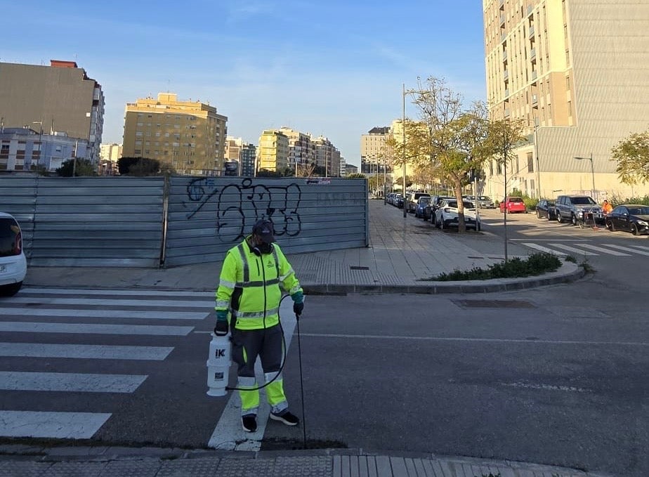 Algemesí constata una reducción de larvas de mosquito tigre