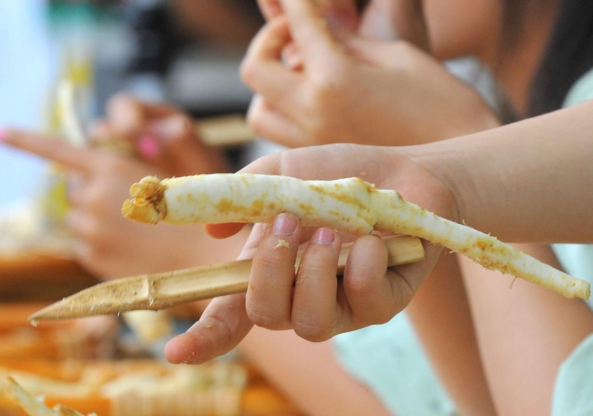 El alimento que reduce el azúcar en sangre, aumenta las defensas y ayuda a dormir mejor