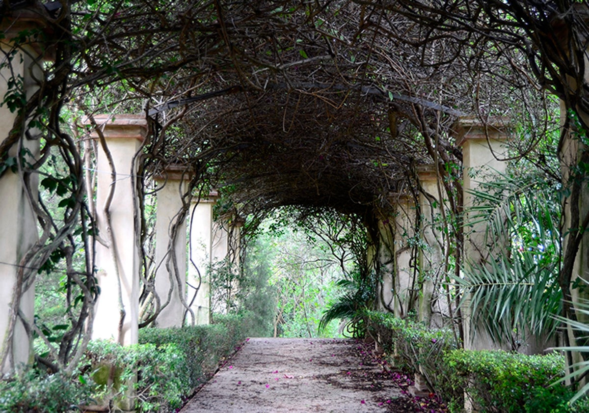 Imagen principal - El paraíso a una hora de Valencia: un increíble jardín en Pedreguer