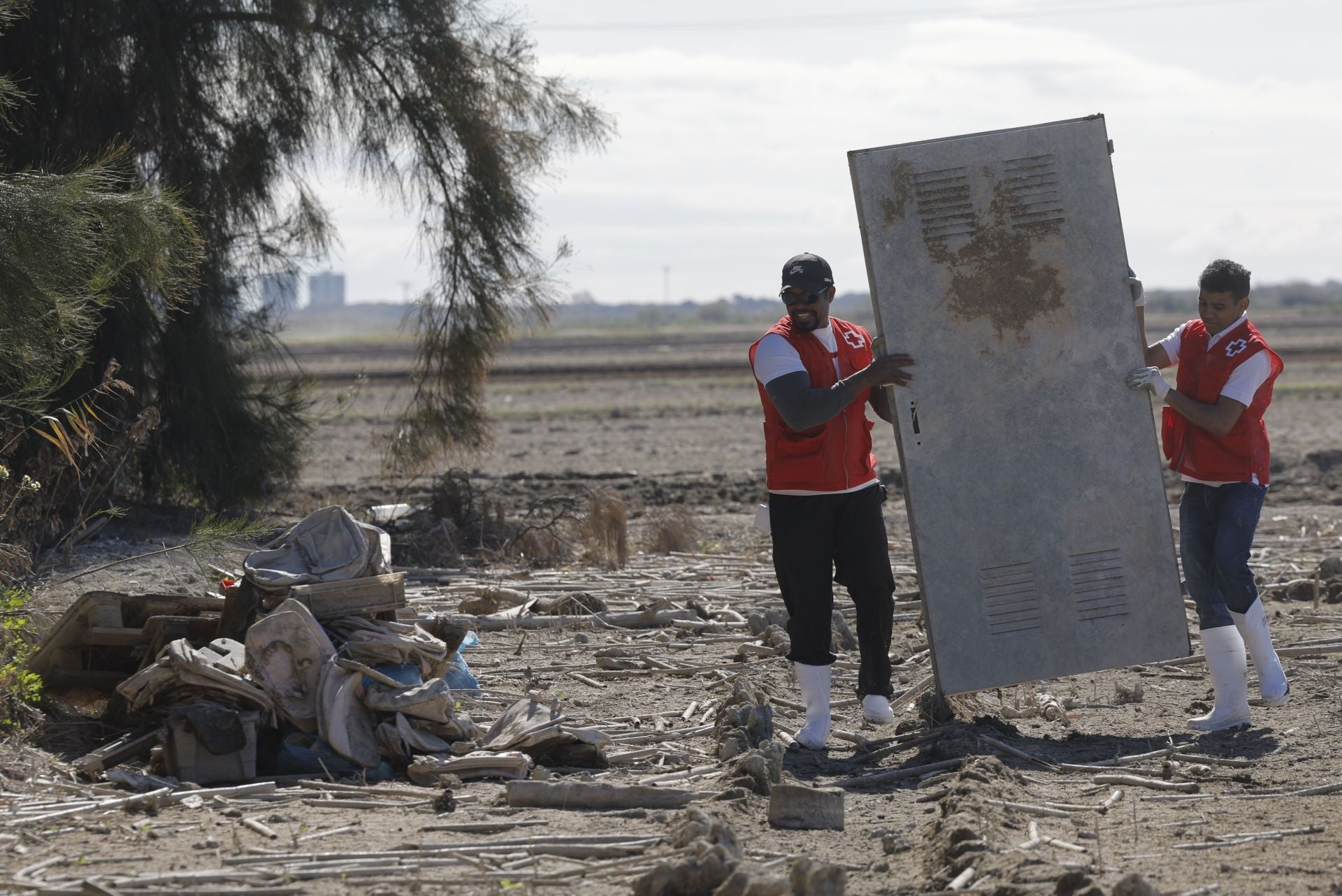 FOTOS | Así se limpia a mano un arrozal de la Albufera