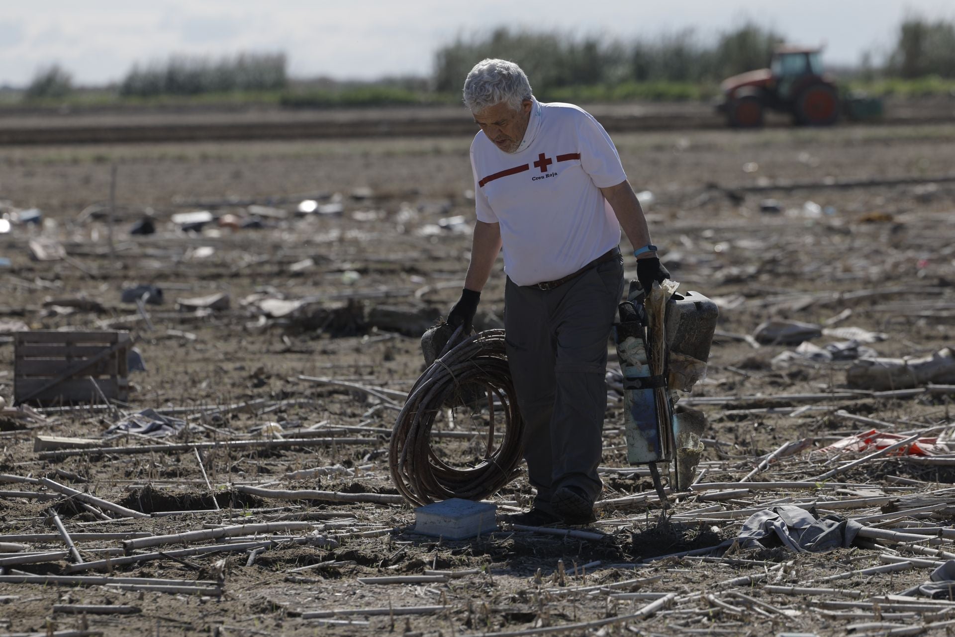 FOTOS | Así se limpia a mano un arrozal de la Albufera