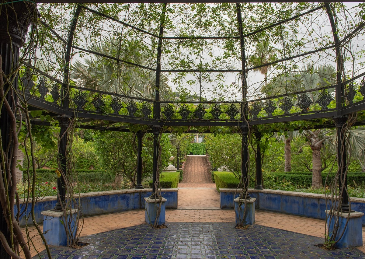Imagen secundaria 1 - El paraíso a una hora de Valencia: un increíble jardín en Pedreguer