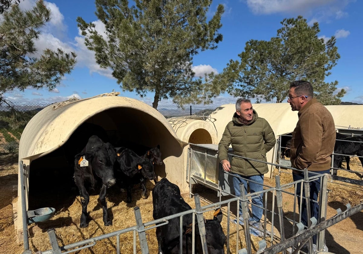 El Consell responde a Planas y le devuelve la acusación: «Las ayudas 'low cost' son el modelo que el Gobierno central copia»