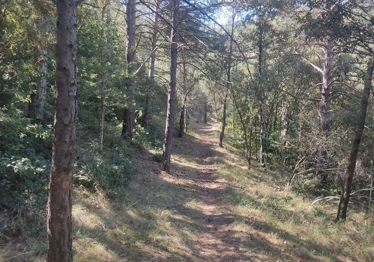 La Generalitat impulsará el sendero europeo GR7 que cruza toda la Comunitat