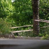 Zona acordonada donde se produjo el derrumbe de un ejemplar en el parque de Benicalap.