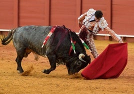 Daniel Luque, en la Real Maestranza.