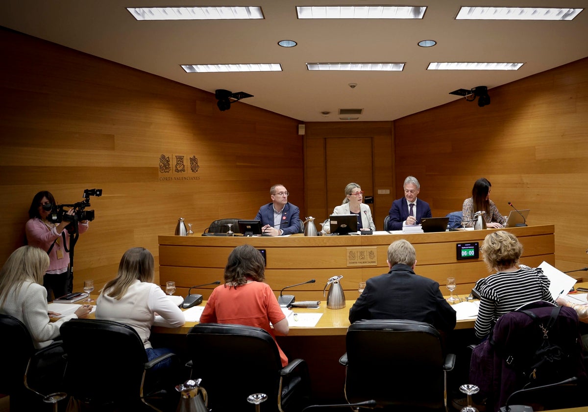 Unanimidad en Les Corts para pedir al Gobierno indemnizar a las afectadas de la ley del 'sí es sí'