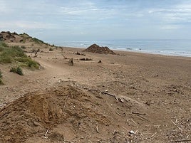 Arena en una de las playas de Sueca.