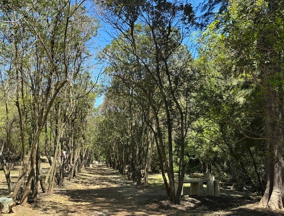 Zona de Els Banyos que ha limpiado el Ayuntamiento.