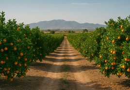 Innovación, emprendimiento y formación, clave en el futuro del sector agro.