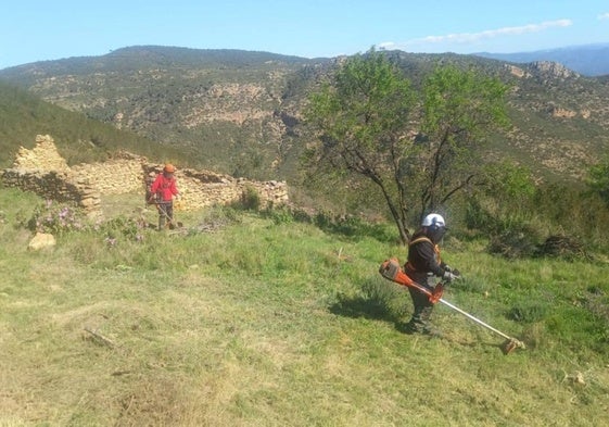 Trabajos realizados por la brigada forestal.