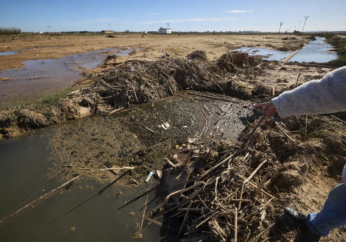 El proyecto de desvío del Poyo evitaba la llegada de casi la mitad de lodo que acabó en la Albufera