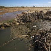 Efectos de la dana sobre la Albufera.