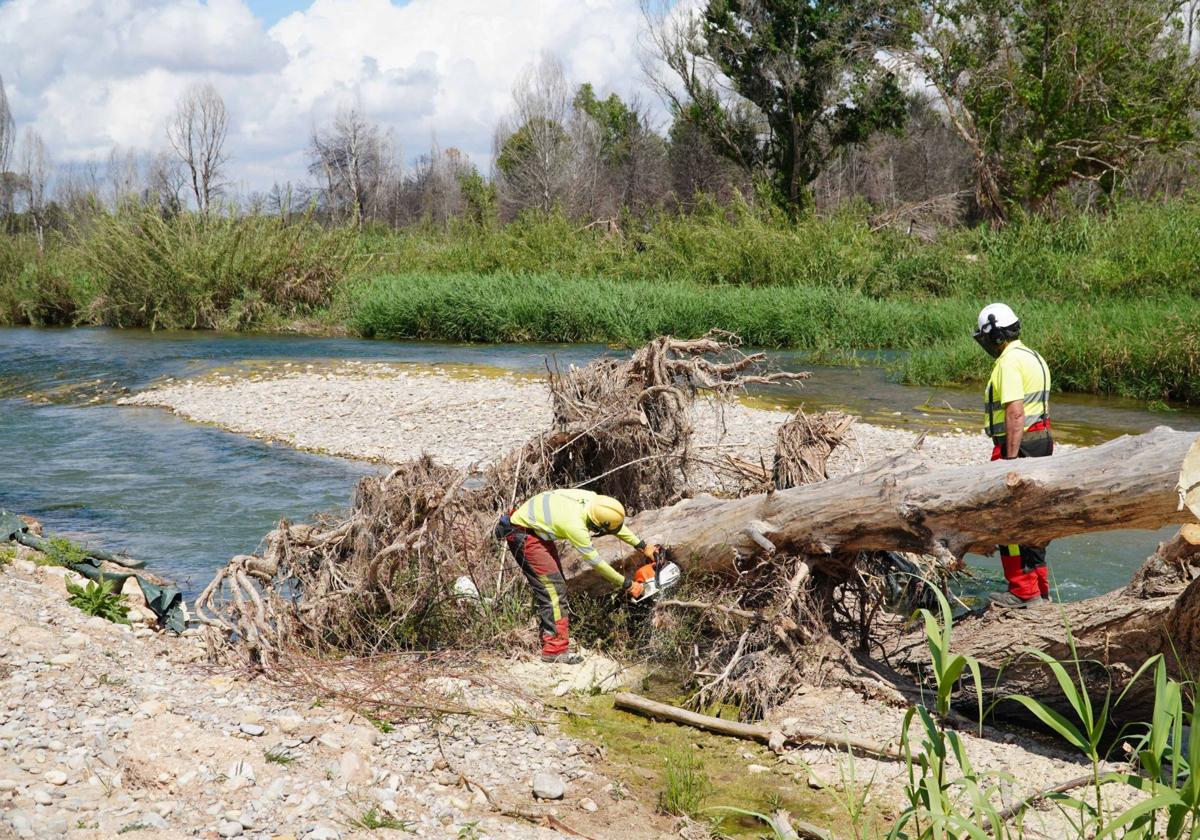 La CHJ destina 19 millones a reconstruir los cauces del bajo Turia