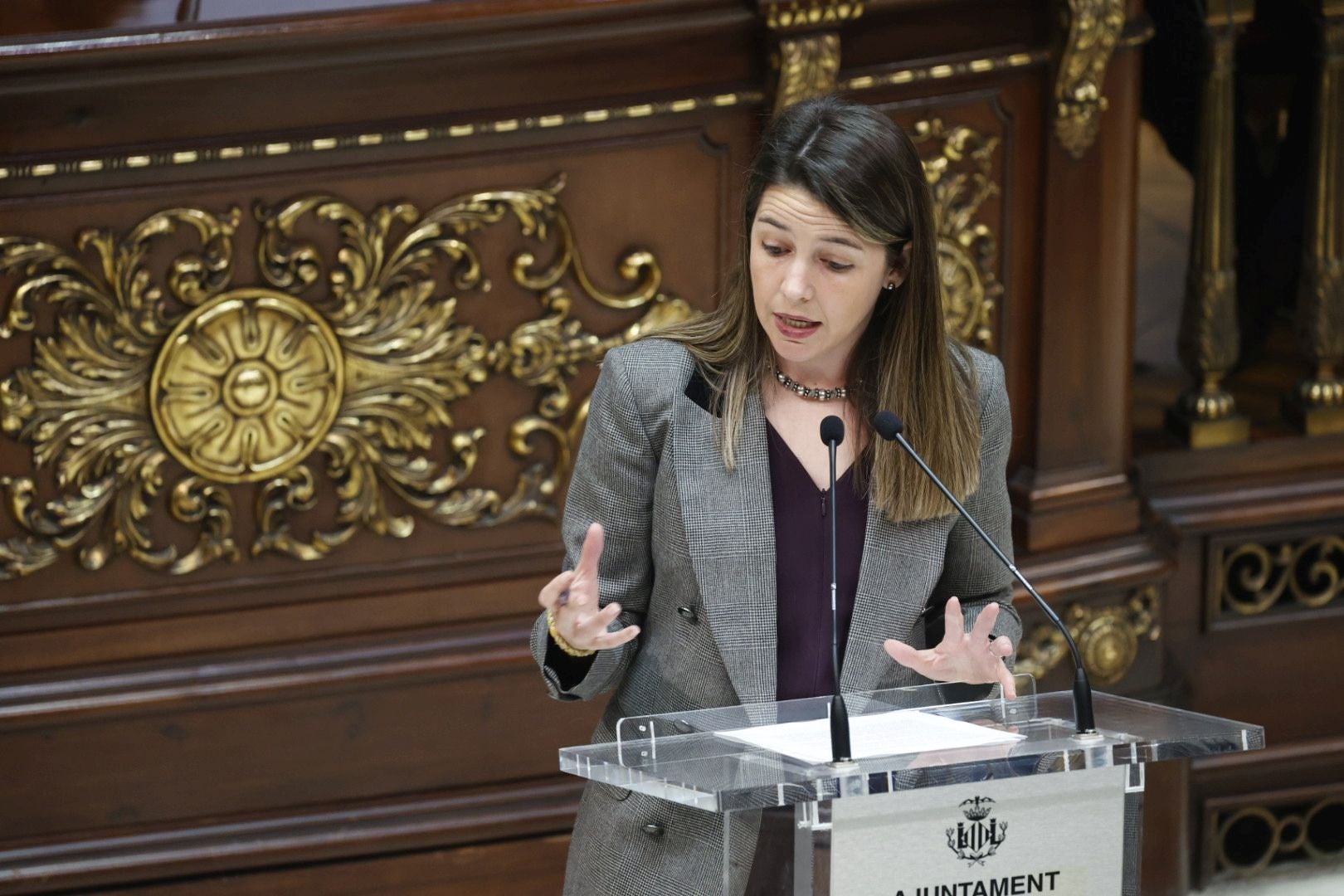 Fotos del Pleno del Ayuntamiento de Valencia del 30 de abril