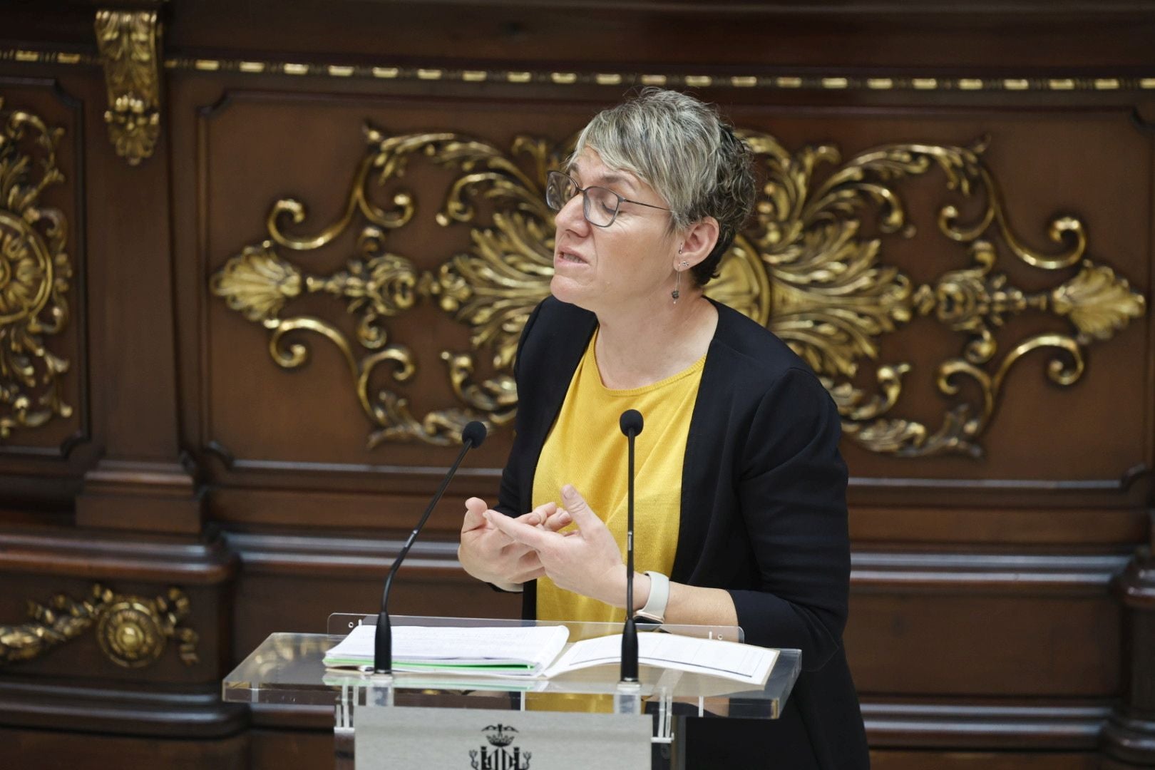 Fotos del Pleno del Ayuntamiento de Valencia del 30 de abril