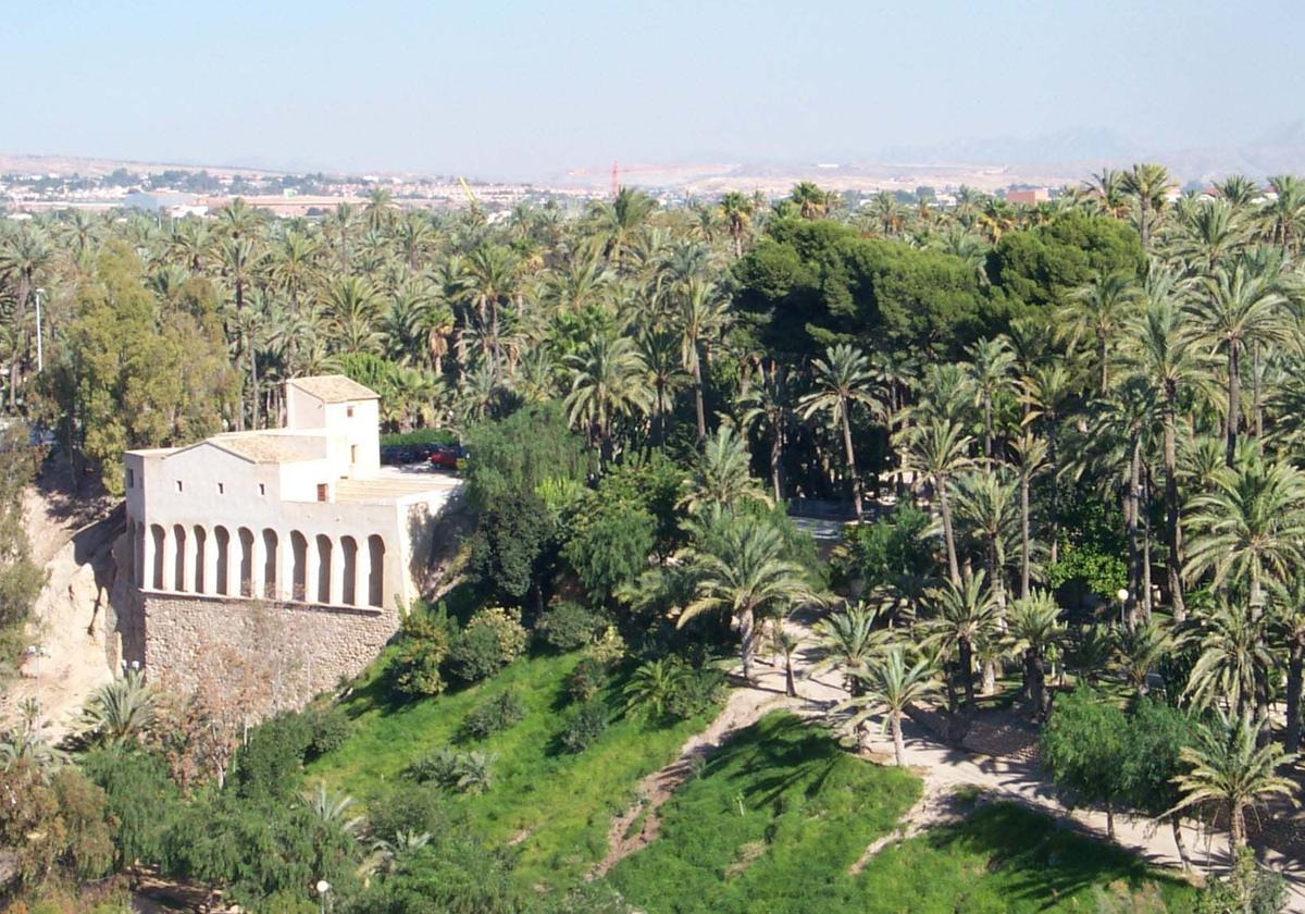 Elche aprueba licitar la construcción de 76 viviendas de alquiler asequible por 6,7 millones