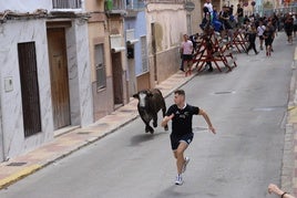 Suelta de vaquillas en Cullera.