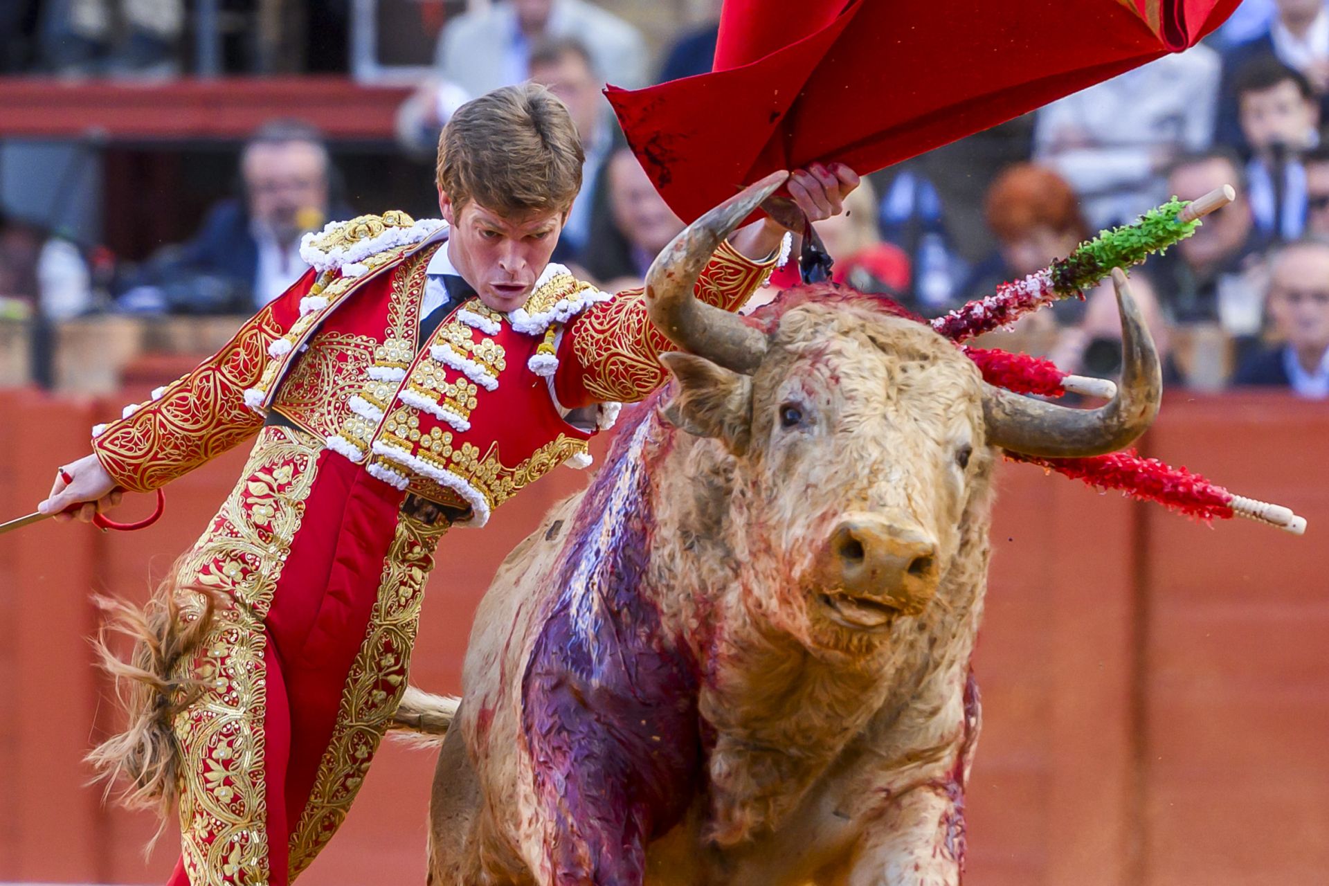 FOTOS | Así ha sido la corrida de toros de hoy en Sevilla (2 de mayo)