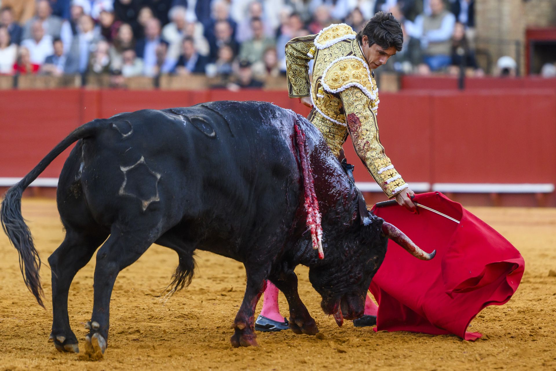 FOTOS | Así ha sido la corrida de toros de hoy en Sevilla (2 de mayo)