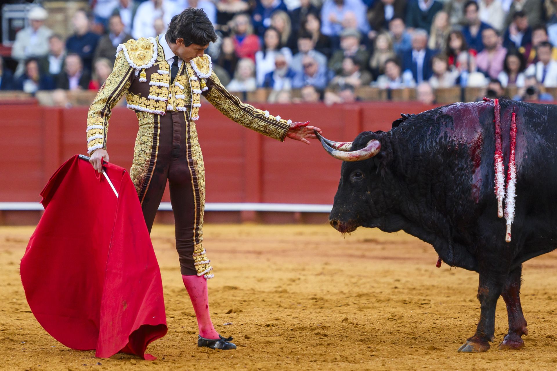 FOTOS | Así ha sido la corrida de toros de hoy en Sevilla (2 de mayo)