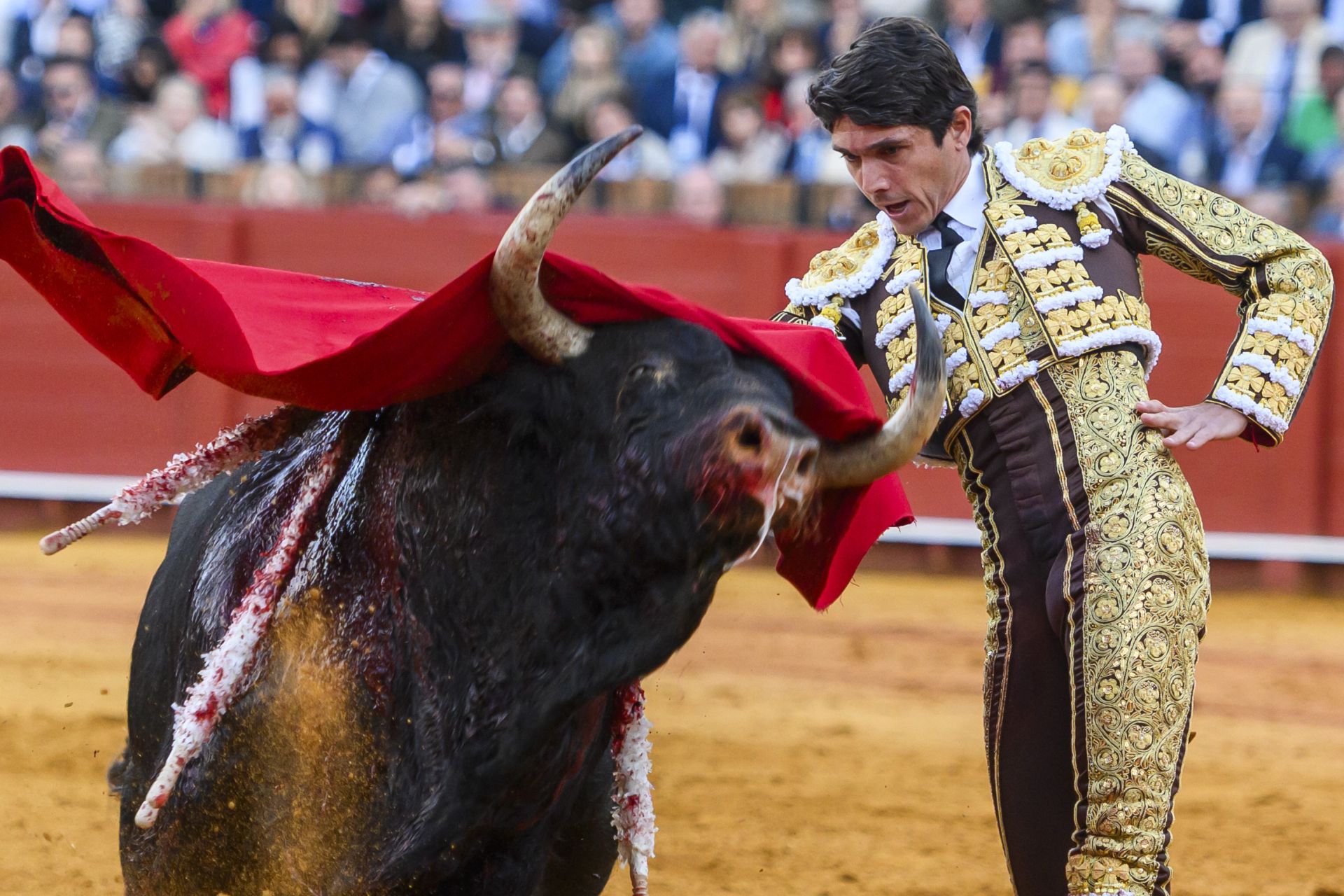 FOTOS | Así ha sido la corrida de toros de hoy en Sevilla (2 de mayo)