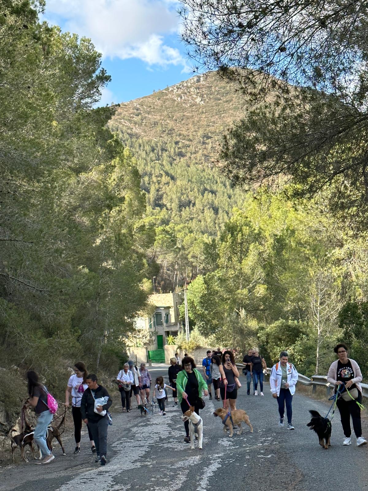 Imagen secundaria 2 - Diferentes actividades realizadas en la I Feria celebrada en 2024.