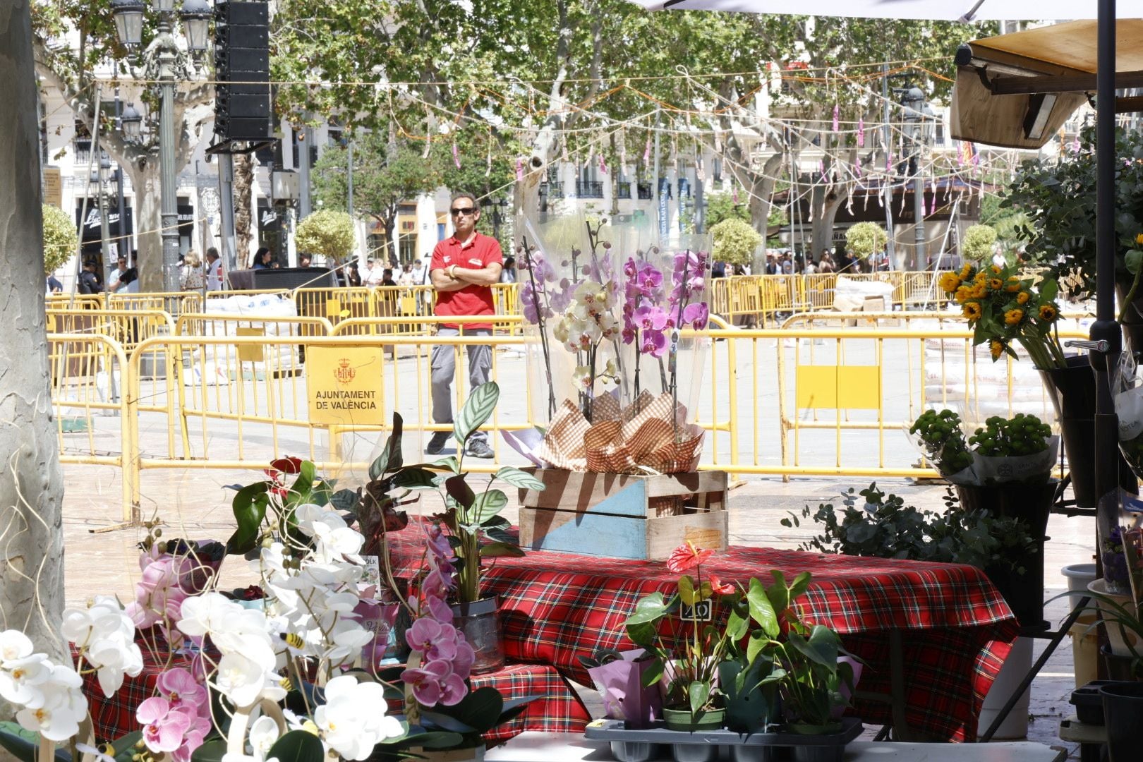 FOTOS | Así ha sido la mascletà del domingo 4 de mayo por el Día de la Madre