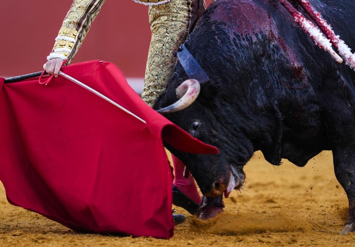 Feria de San Isidro: ¿Cómo ver gratis por televisión todas las corridas de toros de 2025?