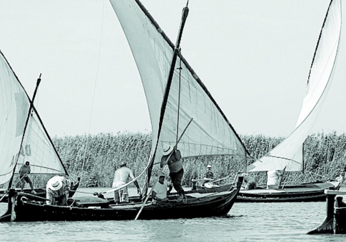 Pongamos en valor la vela latina en l'Albufera