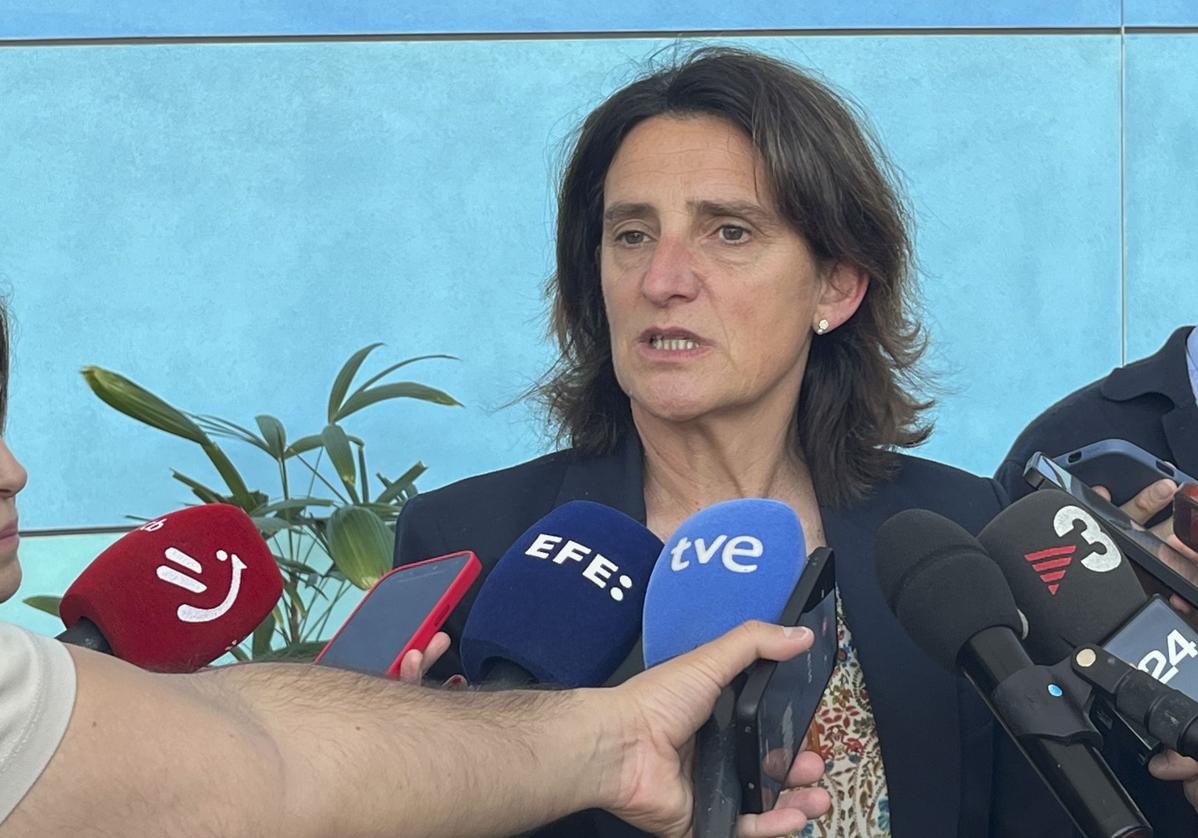Teresa ribera, tan cerca y tan lejos | las provincias