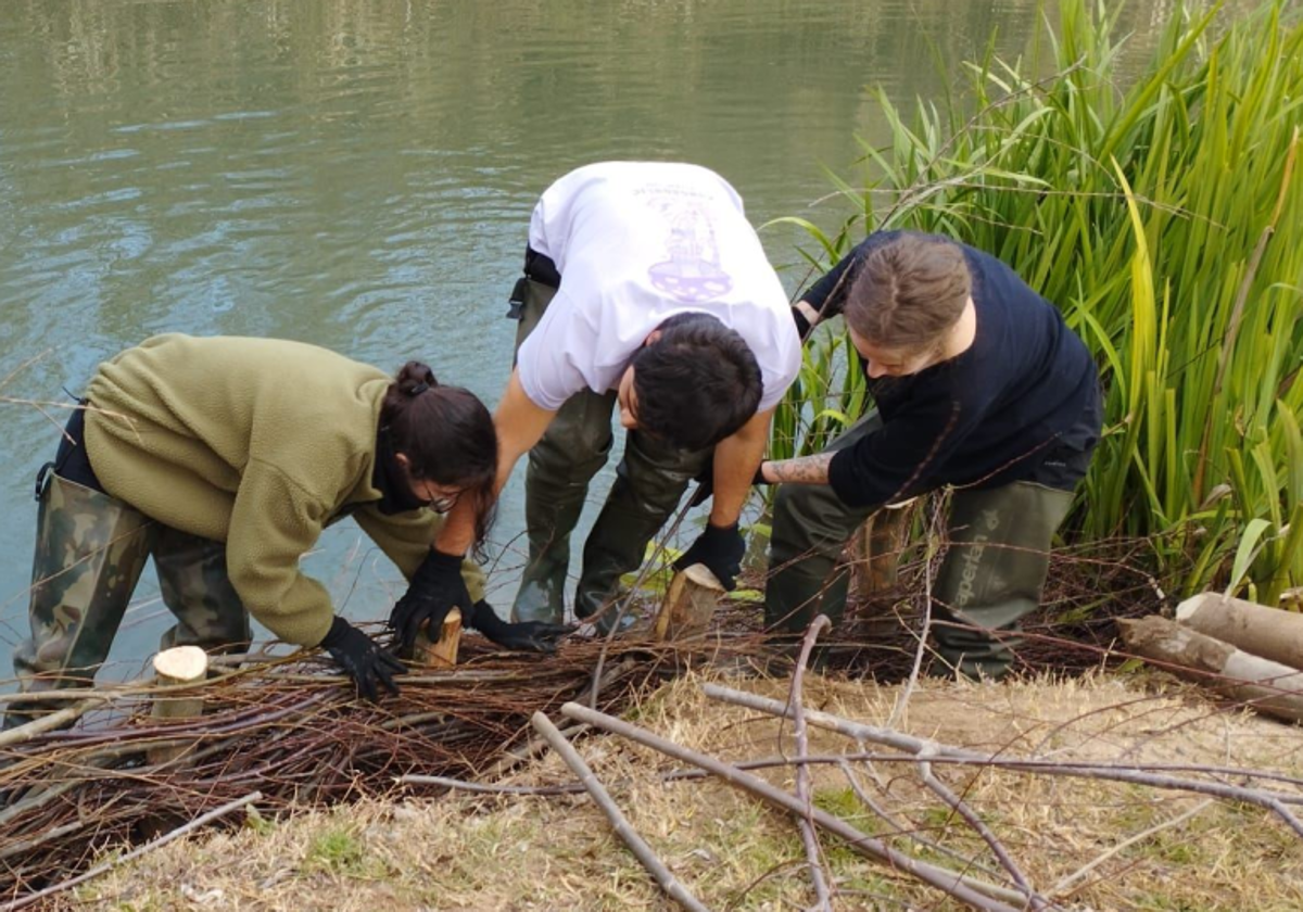 Trabajadores en el cauce del río Júcar.