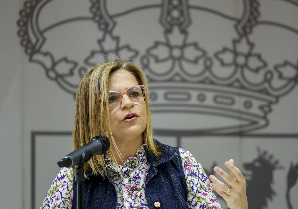 Bernabé asegura que Polo informó en el Cecopi de la situación de Forata