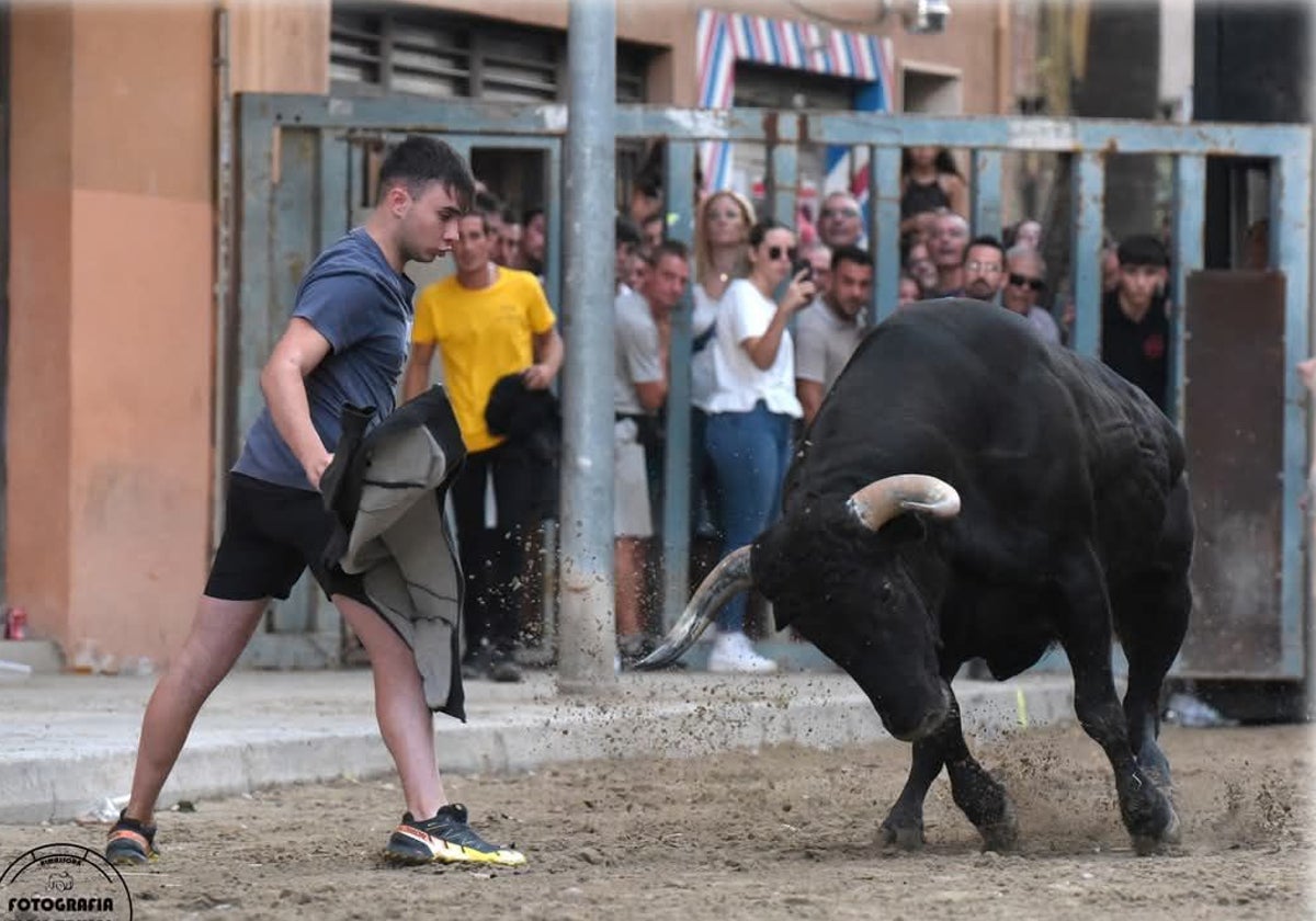 À Punt retoma este sábado las retransmisiones de bous al carrer