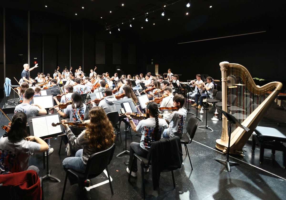 La Jove Orquestra de Valencia se queda sin director