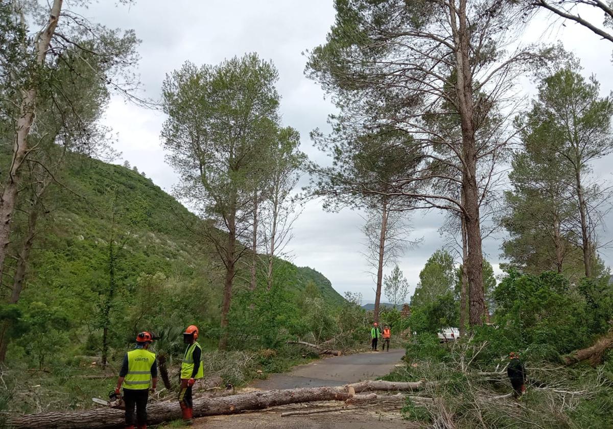 Trabajos en la Casella.