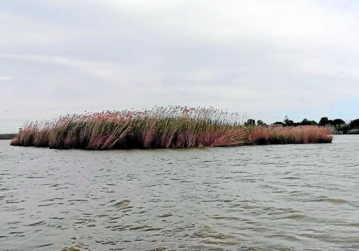 Anclan el 'iceberg' de la Albufera tras navegar medio año a la deriva