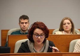 María Fernández, nueva portavoz de Vox en Torrent.