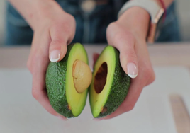 ¿Cómo se llama el árbol del aguacate? Este es su nombre que muy pocos conocen