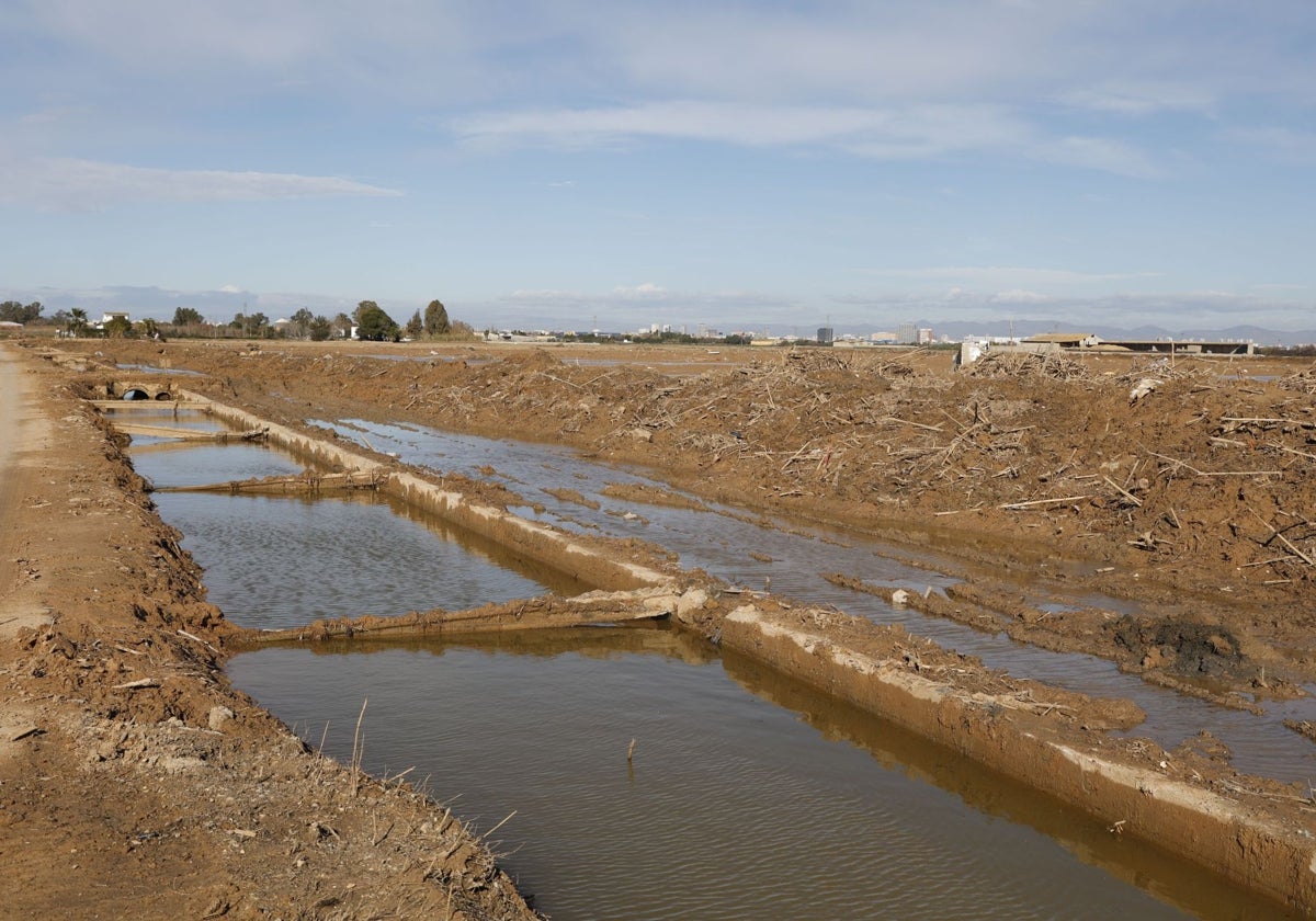 La Albufera, con los mismos problemas que hace 20 años: vertidos, falta de agua y especies invasoras