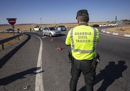 Un control de la Guardia Civil.